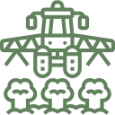 icon-png